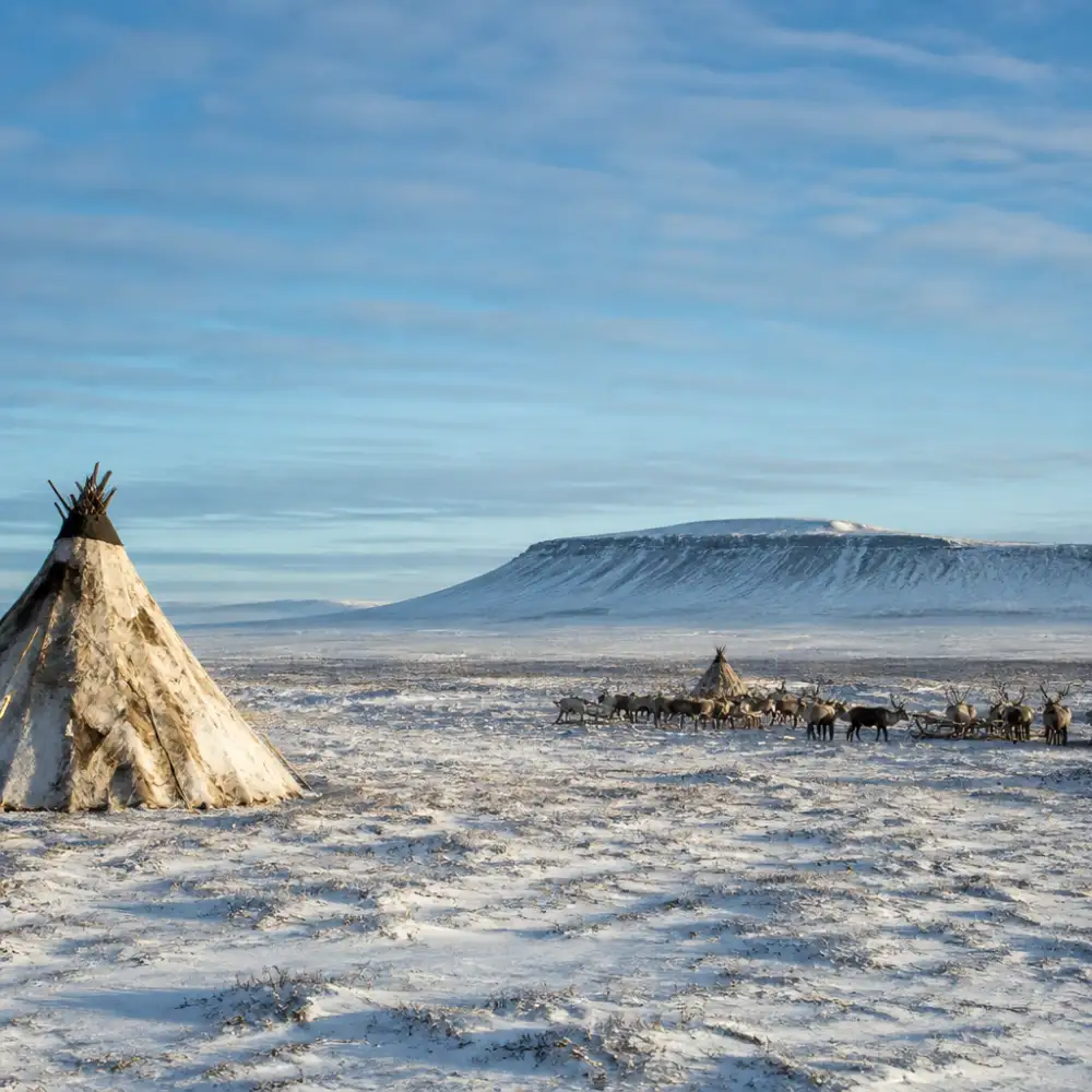 yamal dres